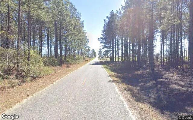 Decorative background for 74.93 Acres in Eastman - Dodge County, GA image 5