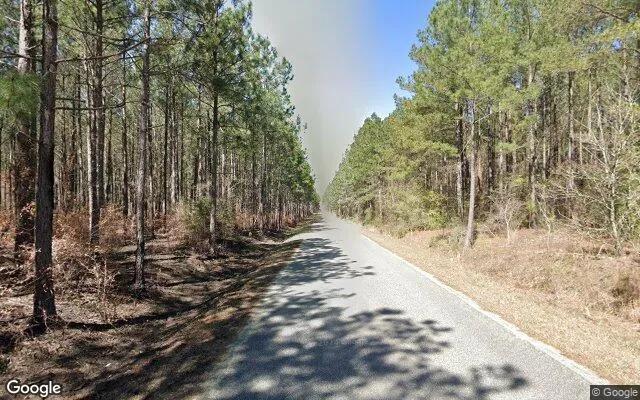 Decorative background for 74.93 Acres in Eastman - Dodge County, GA image 6