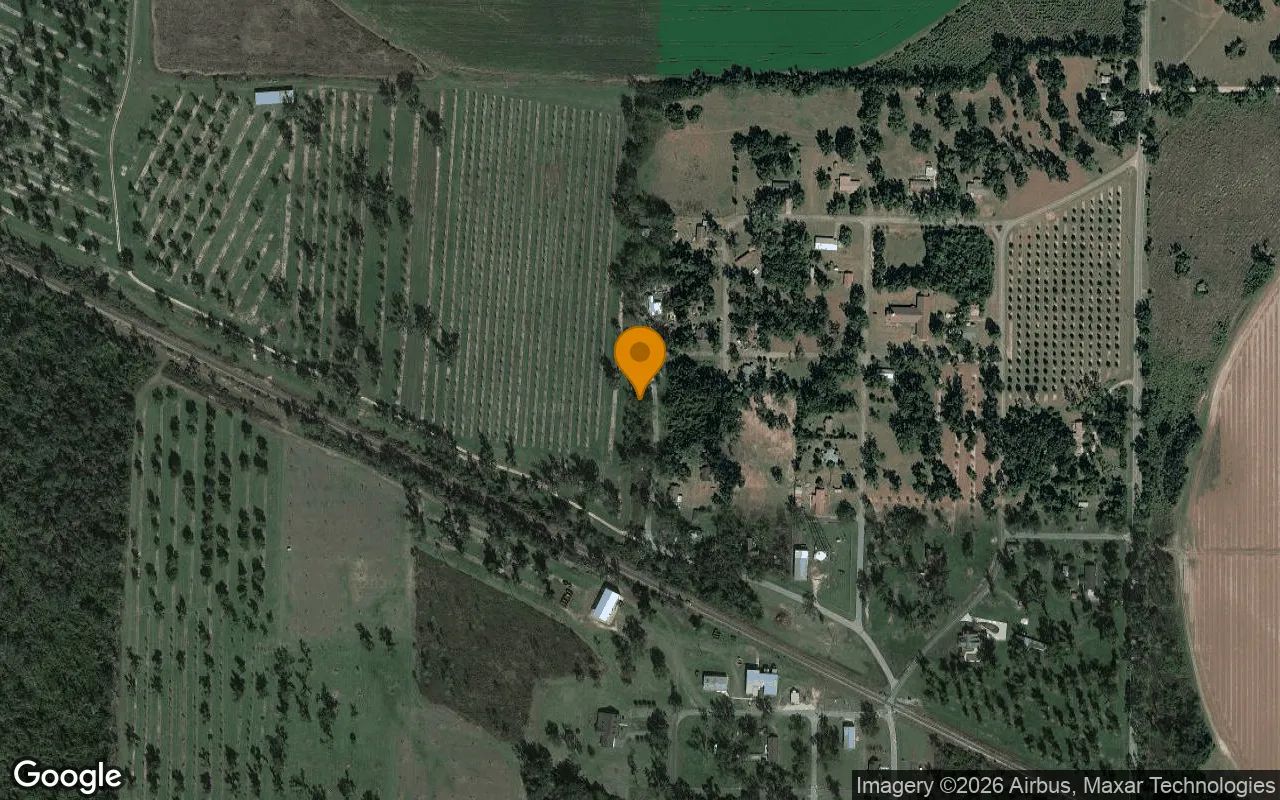 0.29 Acres in Brinson - Decatur County, GA in Decatur County, Georgia