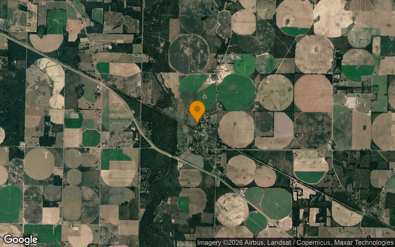 0.29 Acres in Brinson - Decatur County, GA in Decatur County, Georgia
