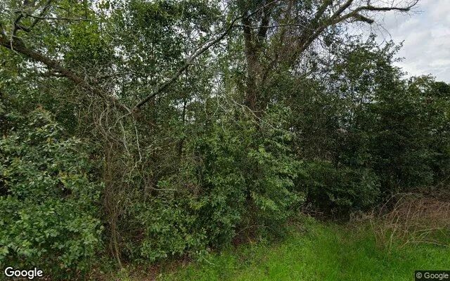 0.29 Acres in Brinson - Decatur County, GA in Decatur County, Georgia