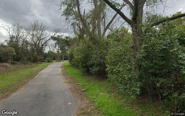 Decorative background for 0.29 Acres in Brinson - Decatur County, GA image 5