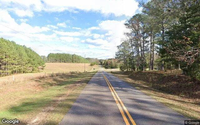 Decorative background for 0.36 Acres in Shiloh - Harris County, GA image 5