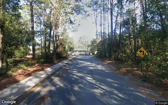 Decorative background for 0.66 Acres in Allenhurst - Liberty County, GA image 5