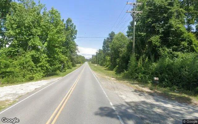 Decorative background for 0.23 Acres in Lizella - Bibb County, GA image 5