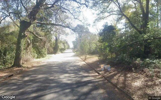 Decorative background for 0.55 Acres in Albany - Dougherty County, GA image 5