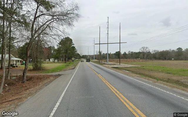 Decorative background for 0.11 Acres in Eden - Effingham County, GA image 6