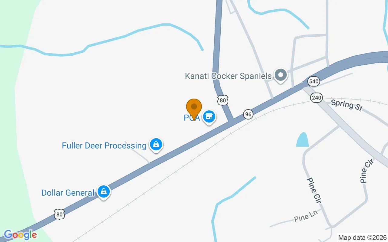 0.39 Acres in Geneva - Talbot County, GA in Talbot County, Georgia