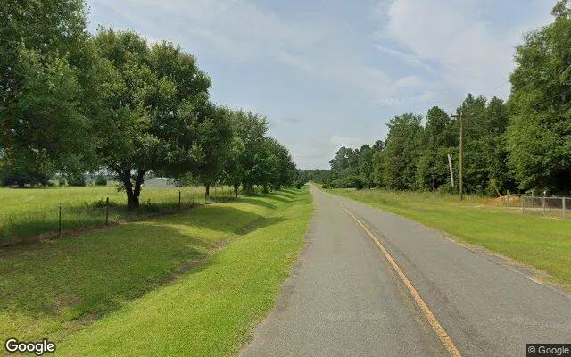 Decorative background for 0.63 Acres in Lilly - Dooly County, GA image 5