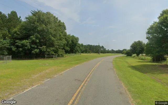 Decorative background for 0.63 Acres in Lilly - Dooly County, GA image 6