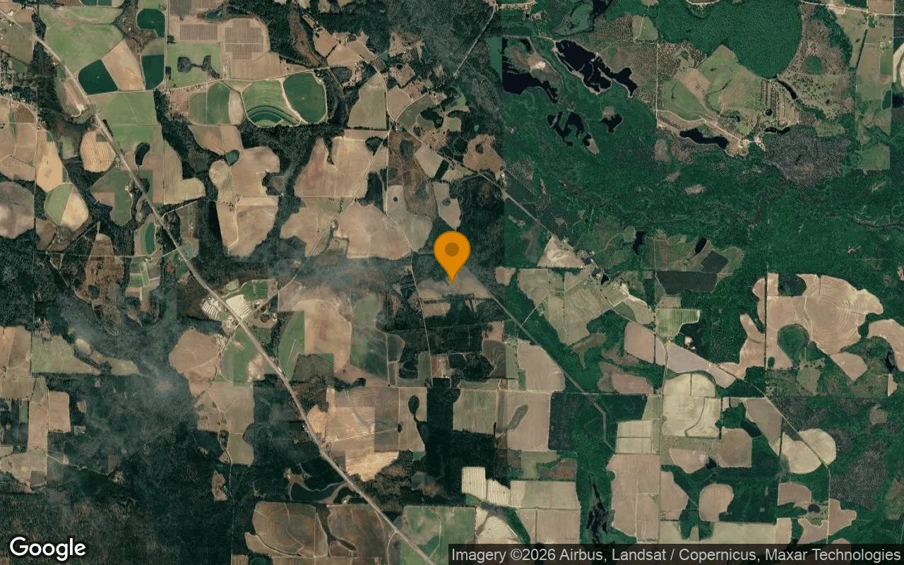75.19 Acres in Barney - Brooks County, GA in Brooks County, Georgia