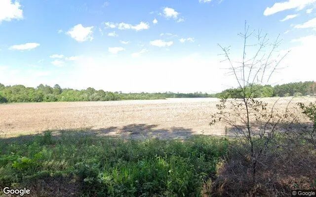 75.19 Acres in Barney - Brooks County, GA in Brooks County, Georgia