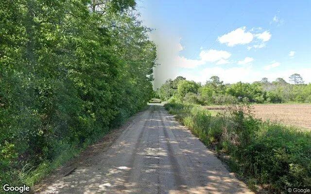 Decorative background for 75.19 Acres in Barney - Brooks County, GA image 5