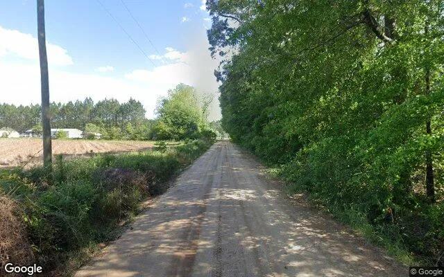 Decorative background for 75.19 Acres in Barney - Brooks County, GA image 6