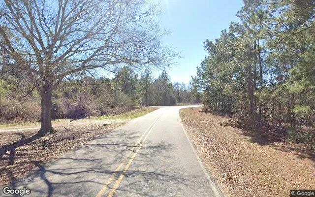Decorative background for 0.1 Acres in Rockledge - Laurens County, GA image 5