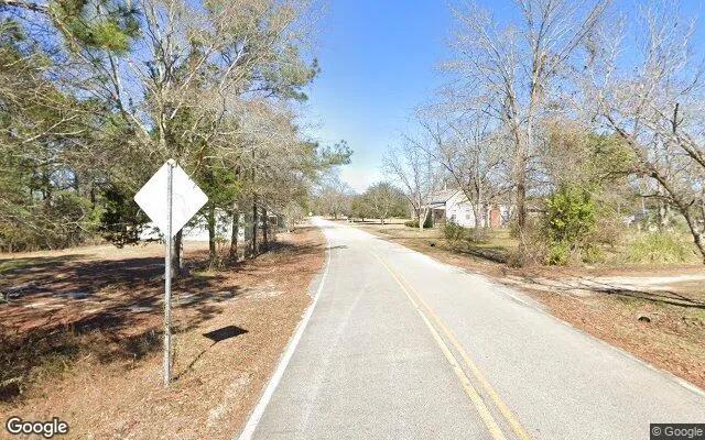 Decorative background for 0.1 Acres in Rockledge - Laurens County, GA image 6