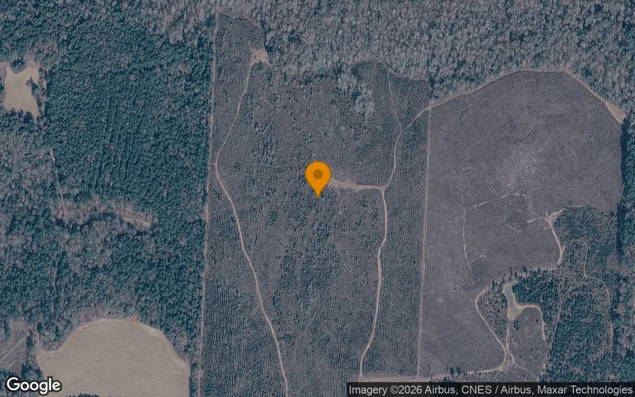 125.06 Acres in Bartow - Washington County, GA in Washington County, Georgia