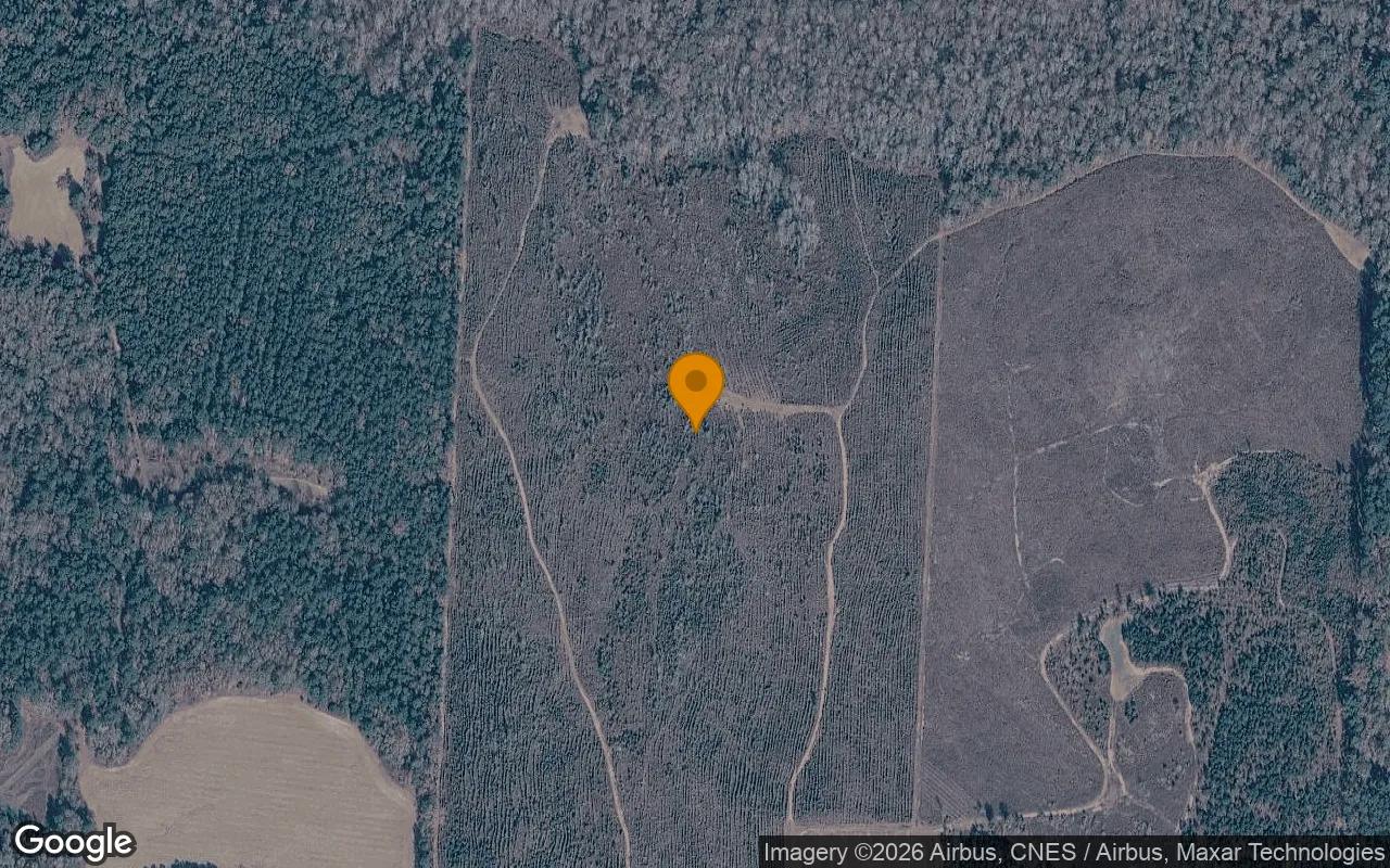 125.06 Acres in Bartow - Washington County, GA - Main image