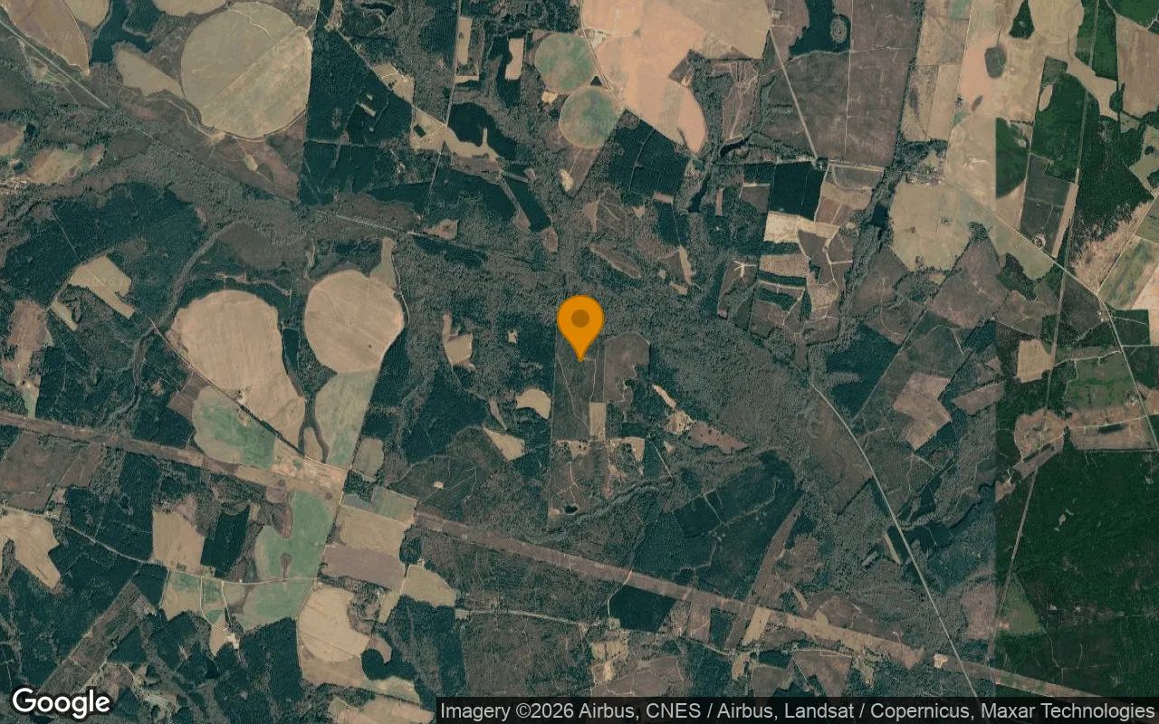 125.06 Acres in Bartow - Washington County, GA in Washington County, Georgia