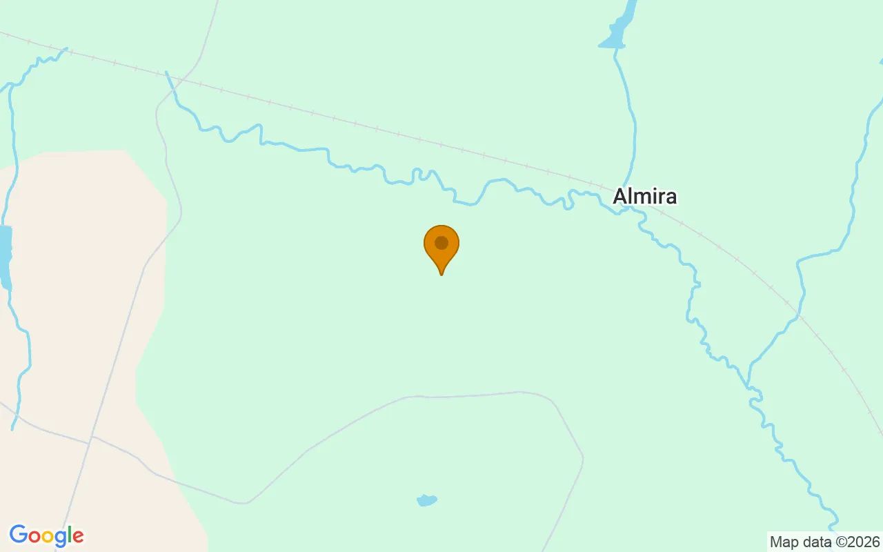 125.06 Acres in Bartow - Washington County, GA in Washington County, Georgia