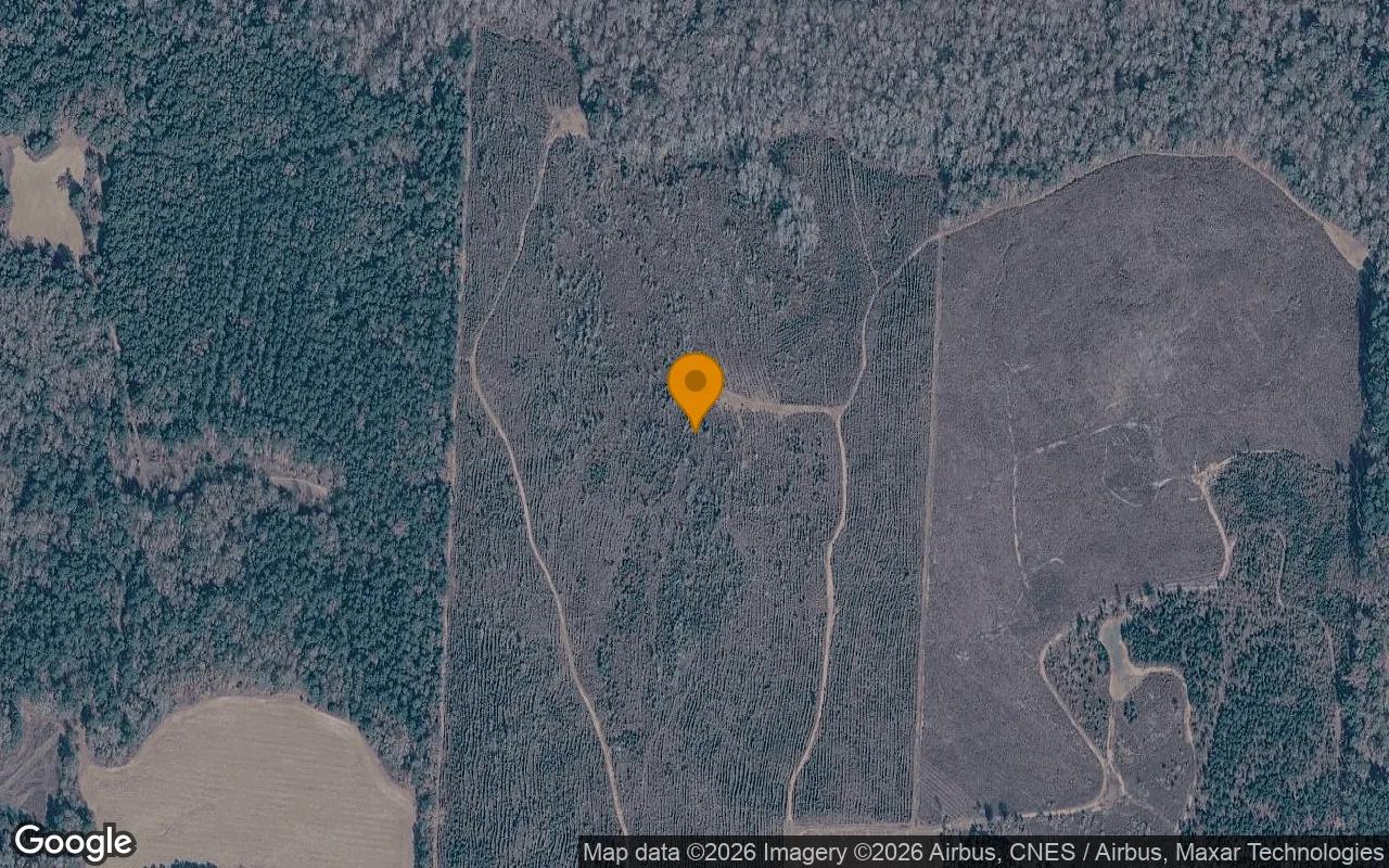 Decorative background for 125.06 Acres in Bartow - Washington County, GA image 6