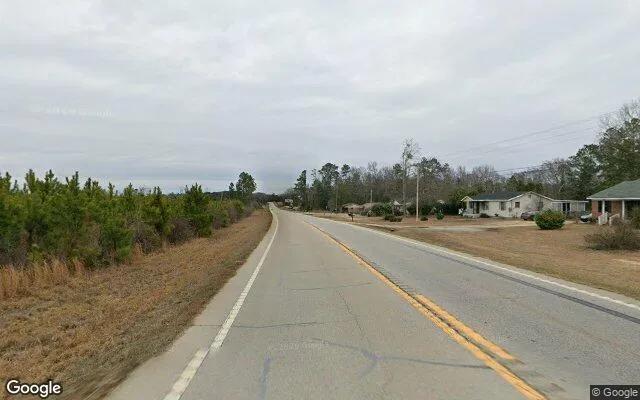 Decorative background for 0.55 Acres in Washington - Wilkes County, GA image 5