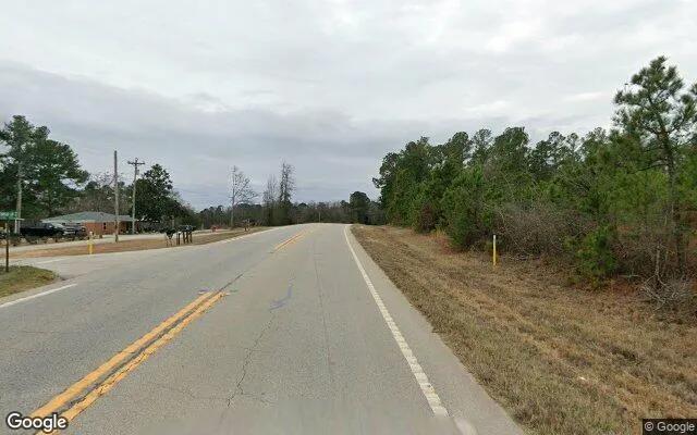 Decorative background for 0.55 Acres in Washington - Wilkes County, GA image 6