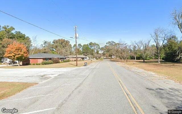 Decorative background for 0.24 Acres in Pinehurst - Dooly County, GA image 5
