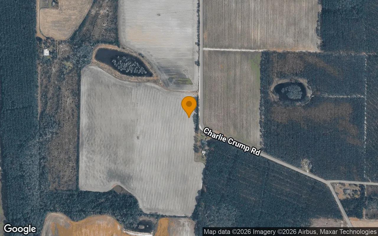Decorative background for 1.97 Acres in Mershon - Pierce County, GA image 6