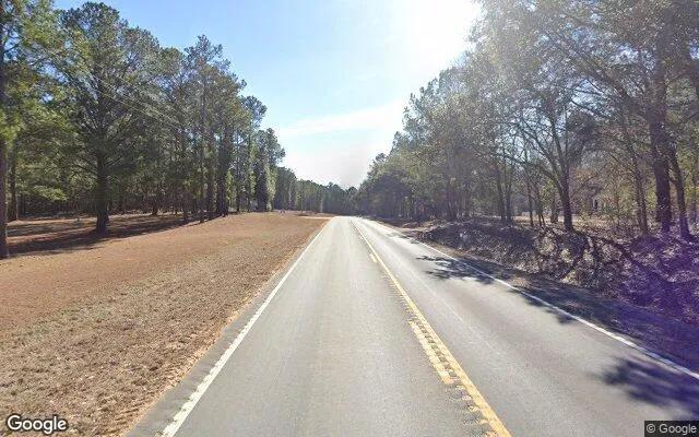 Decorative background for 3.5 Acres in Claxton - Evans County, GA image 5