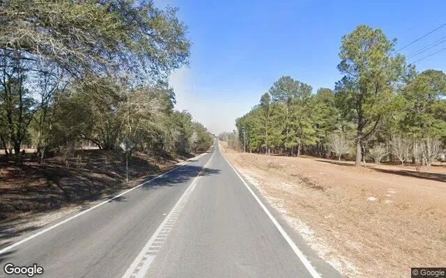 Decorative background for 3.5 Acres in Claxton - Evans County, GA image 6