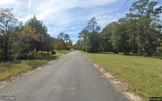 Decorative background for 0.55 Acres in Waycross - Ware County, GA image 6
