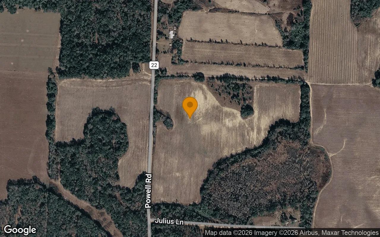 Decorative background for 14.97 Acres in Blakely - Early County, GA image 6