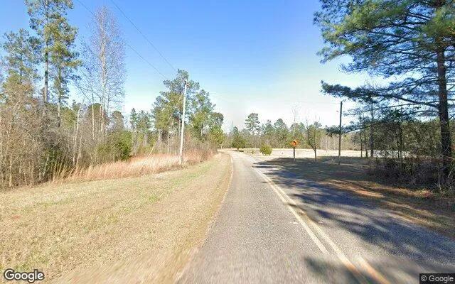 Decorative background for 14.93 Acres in Union Point - Taliaferro County, GA image 5