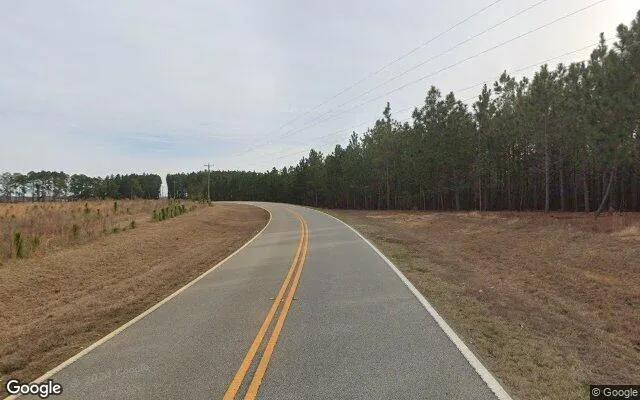 Decorative background for 1.5 Acres in Lyons - Toombs County, GA image 5