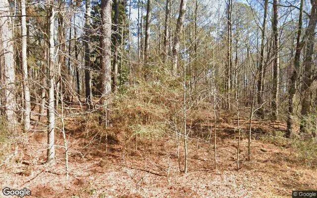 0.18 Acres in Stephens - Oglethorpe County, GA - Image 4