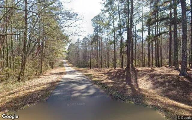 Decorative background for 0.18 Acres in Stephens - Oglethorpe County, GA image 6