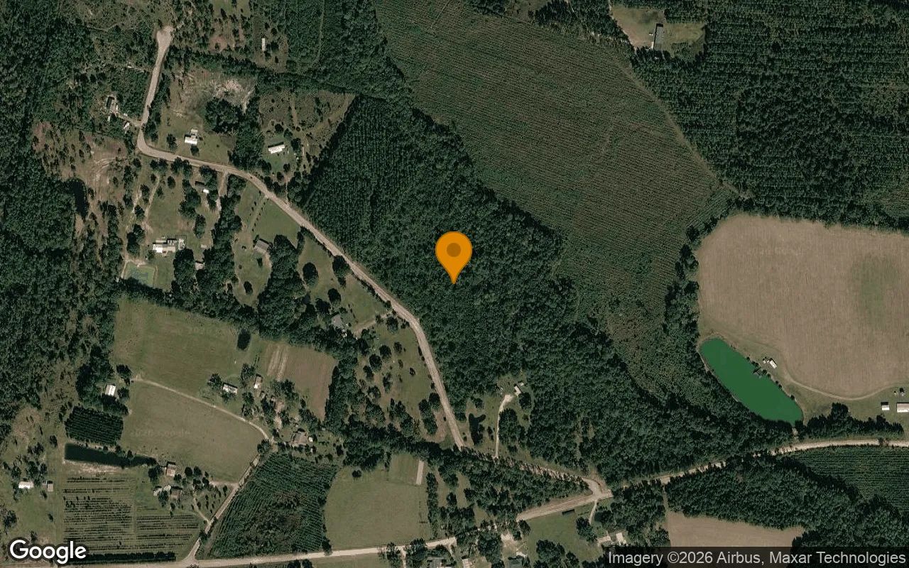 15.02 Acres in Nahunta - Brantley County, GA in Brantley County, Georgia