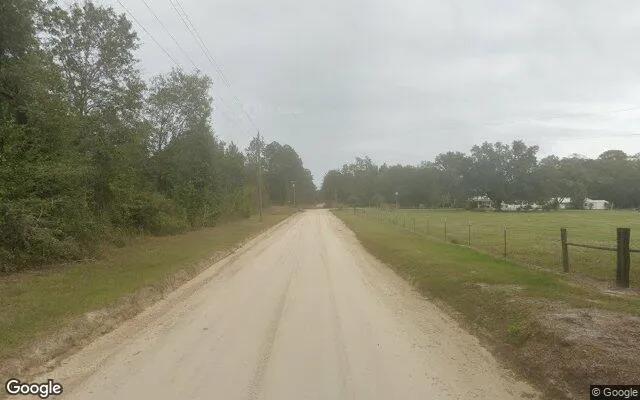 Decorative background for 15.02 Acres in Nahunta - Brantley County, GA image 6