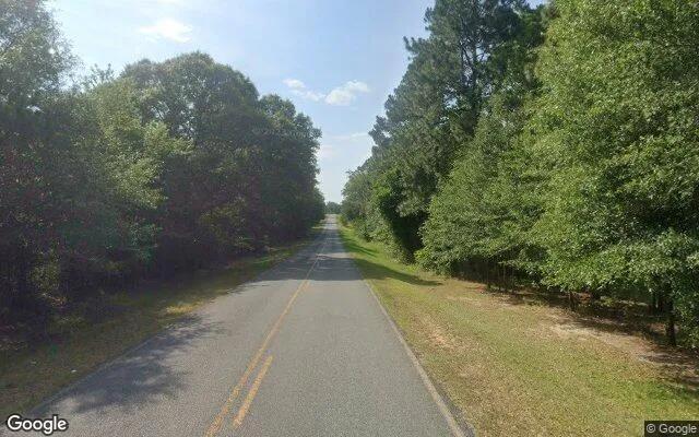 Decorative background for 3.51 Acres in Rentz - Laurens County, GA image 6