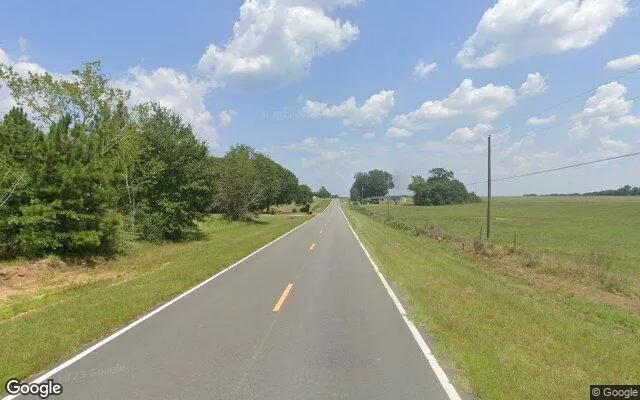 Decorative background for 0.4 Acres in Montrose - Laurens County, GA image 5