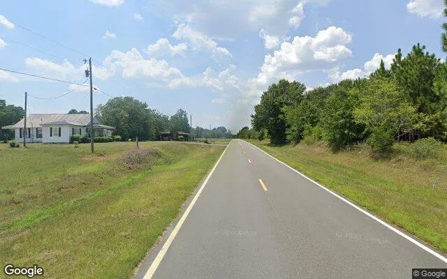 Decorative background for 0.4 Acres in Montrose - Laurens County, GA image 6