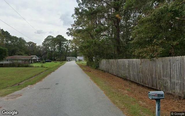 Decorative background for 0.55 Acres in Brunswick - Glynn County, GA image 5