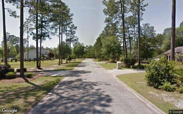 Decorative background for 1.5 Acres in Jesup - Wayne County, GA image 5