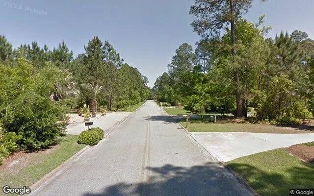 Decorative background for 1.5 Acres in Jesup - Wayne County, GA image 6