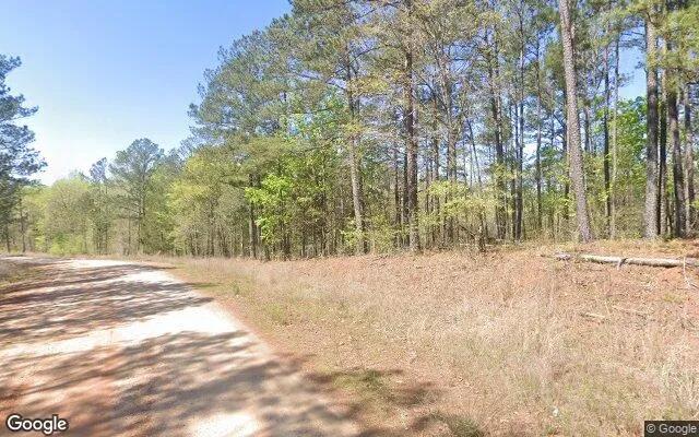 Decorative background for 1.46 Acres in Juliette - Monroe County, GA image 5