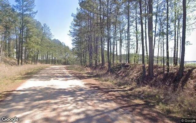 Decorative background for 1.46 Acres in Juliette - Monroe County, GA image 6