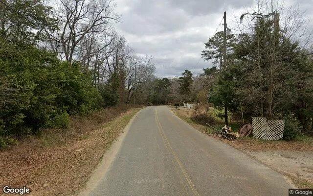 Decorative background for 1.5 Acres in Americus - Sumter County, GA image 5