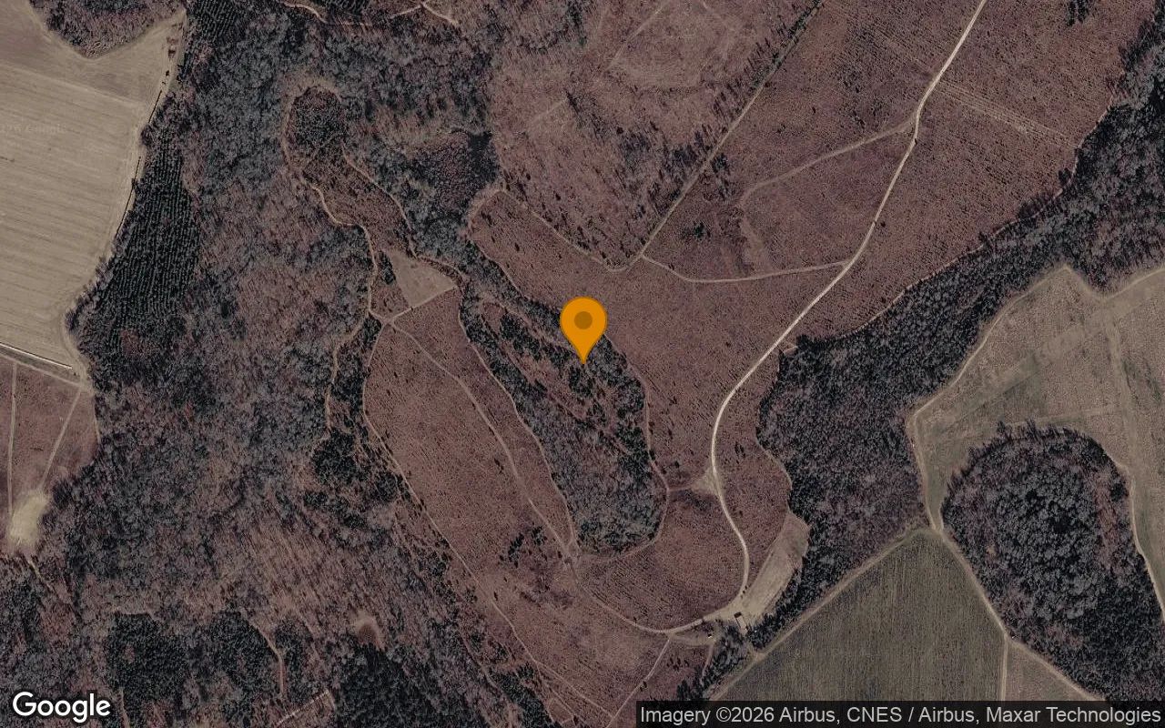 125.06 Acres in Davisboro - Washington County, GA in Washington County, Georgia