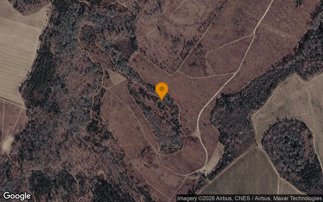 125.06 Acres in Davisboro - Washington County, GA - Main image
